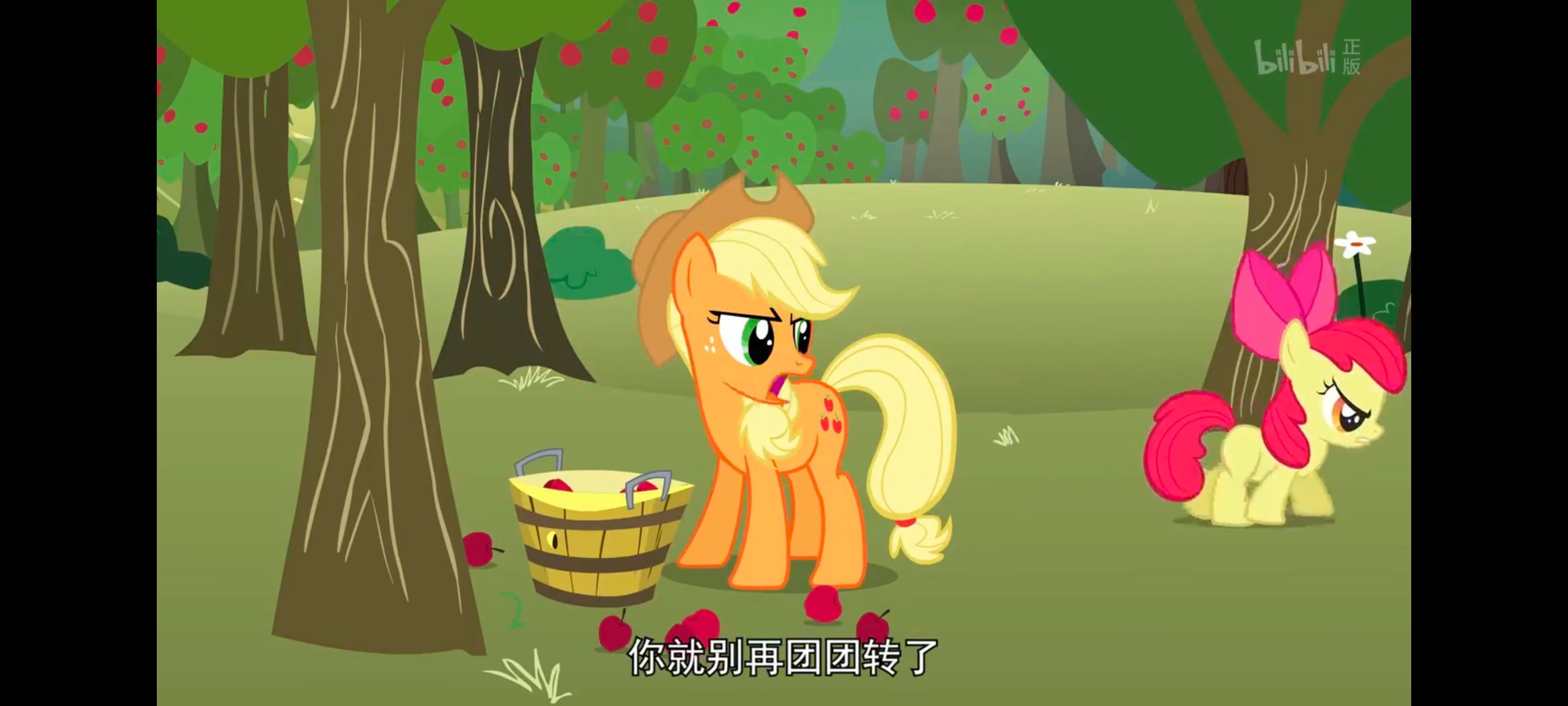 小马宝莉,小马宝莉友谊魔法,彩虹小马,我的小马驹,动画,动漫,番剧,ACG