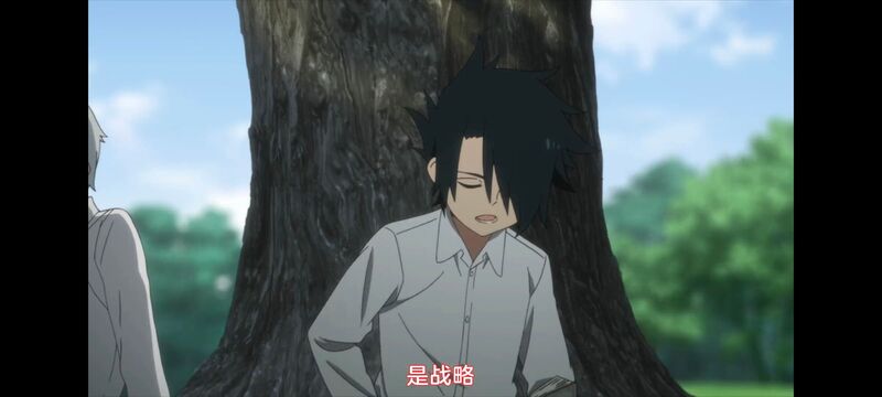 约定的梦幻岛,动画,动漫,番剧,ACG