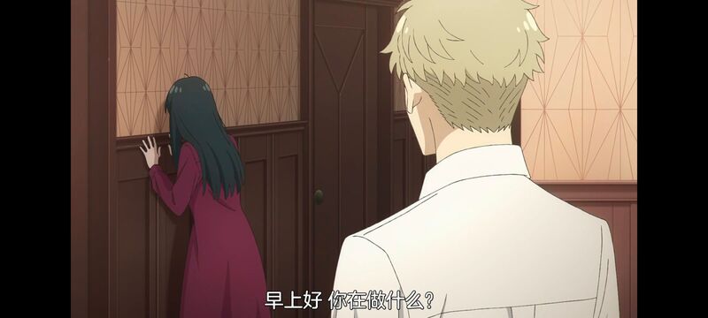 间谍过家家,SPYFAMILY,动画,动漫,番剧,ACG