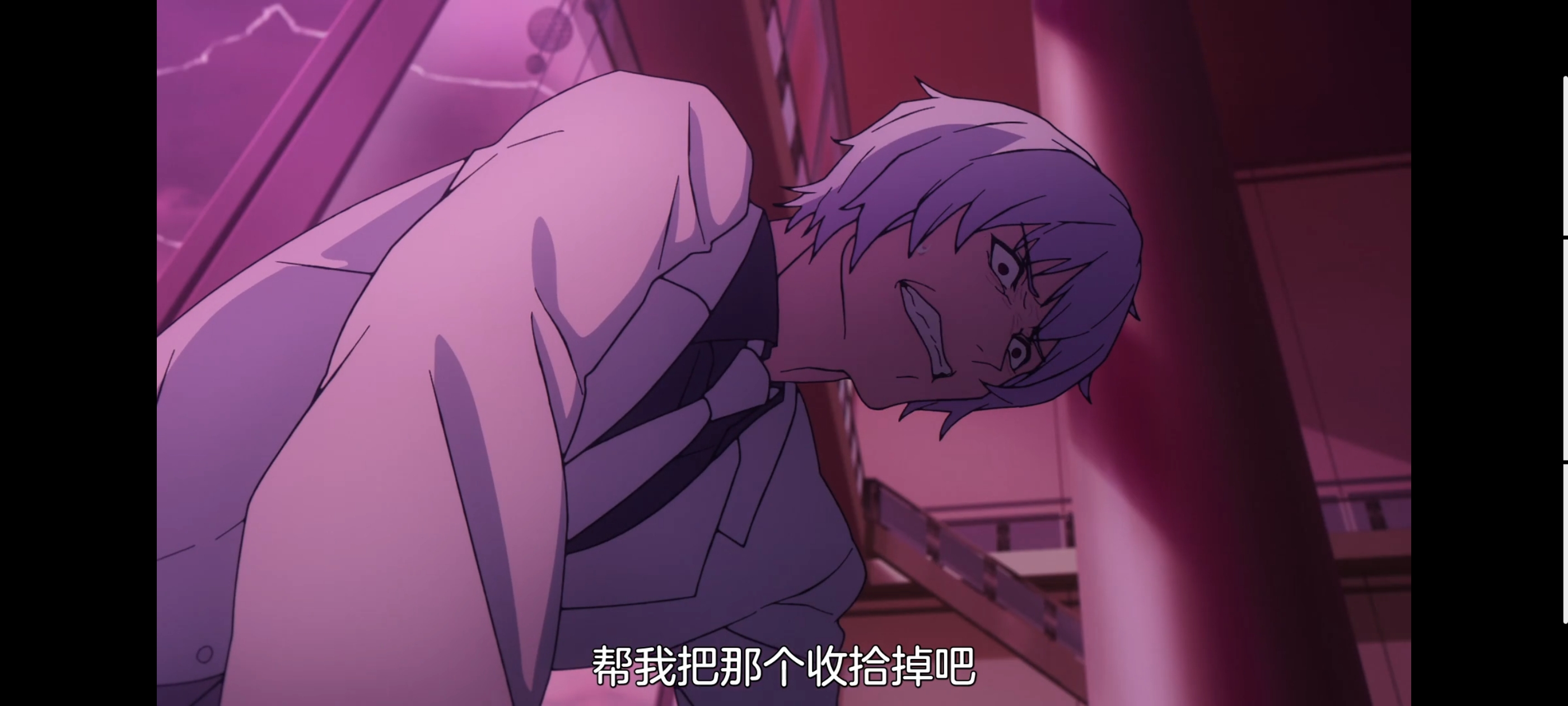 FATE,命运奇异赝品,FatestrangeFake,动画,动漫,番剧,二次元,ACG