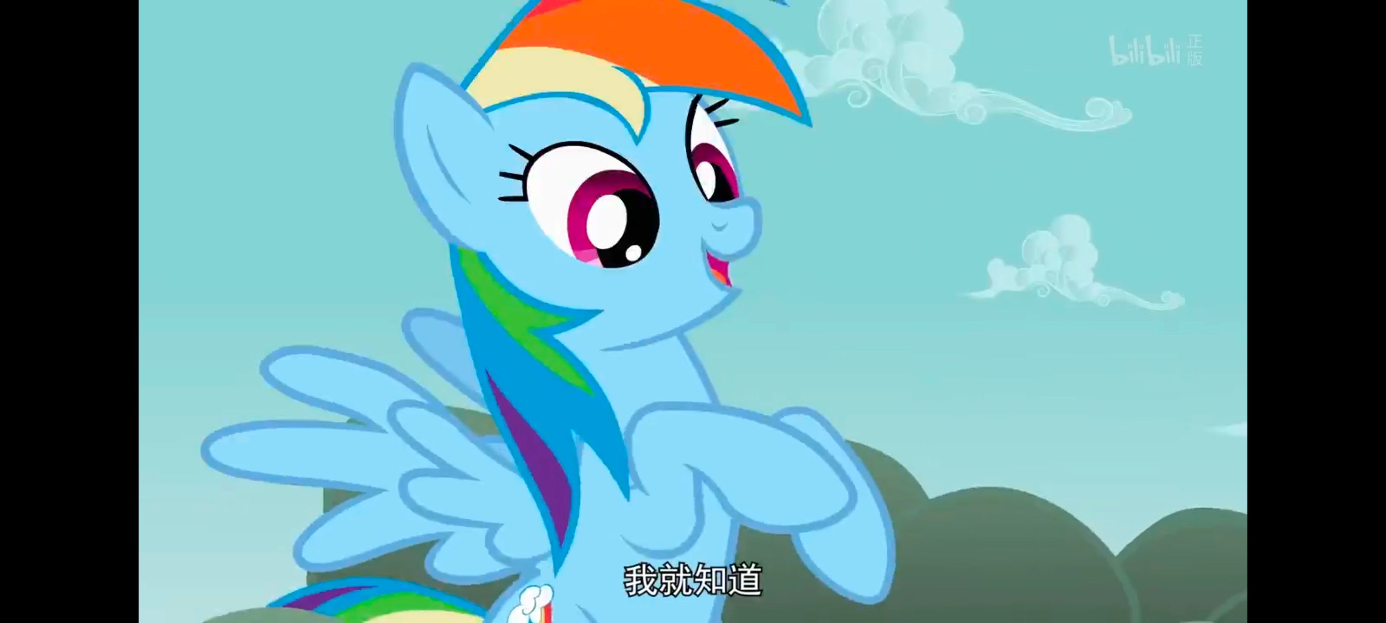 小马宝莉,彩虹小马,我的小马驹,动画,动漫,番剧,ACG