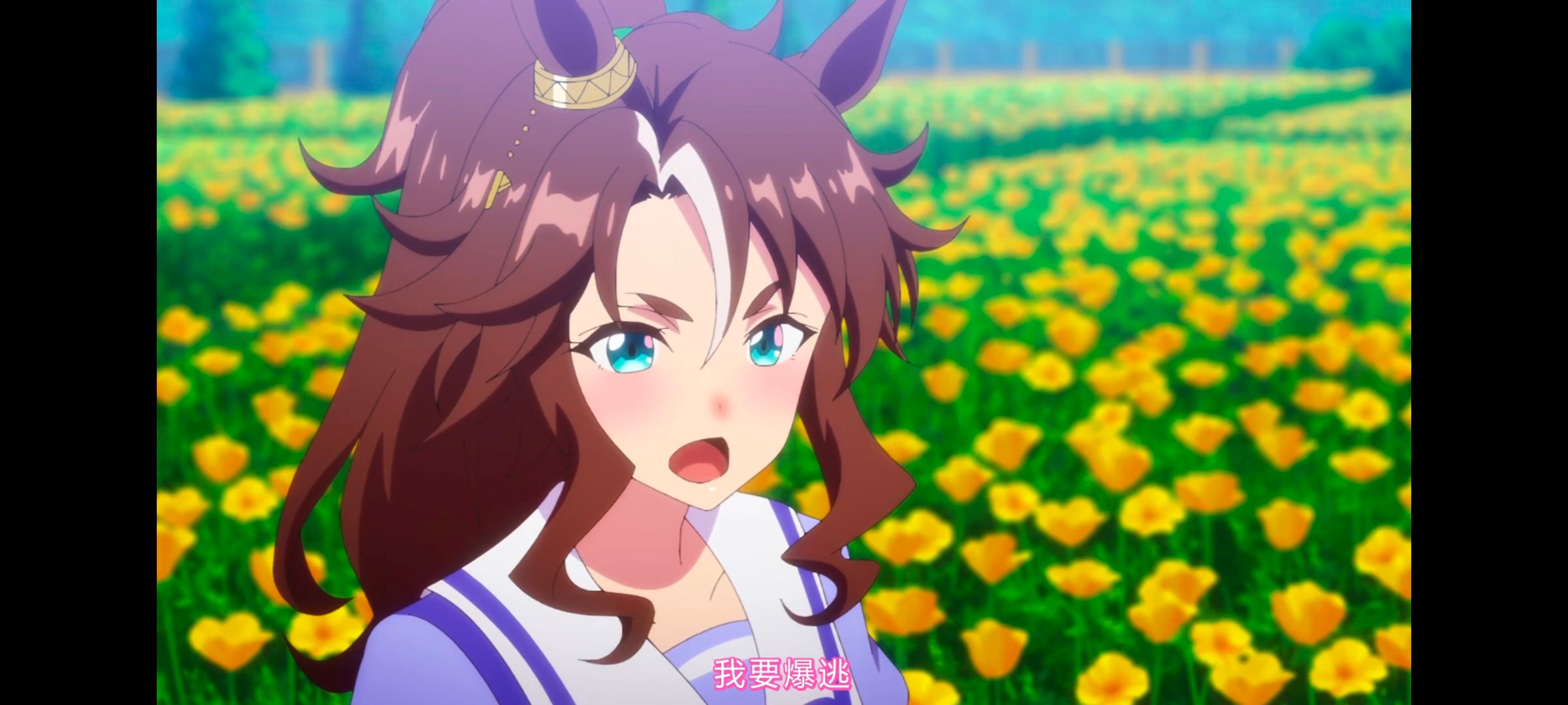 赛马娘,赛马娘PrettyDreby,赛马娘第二季,动画,动漫,番剧,二次元,ACG