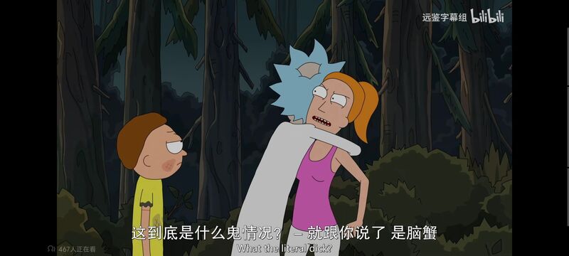 瑞克和莫蒂,瑞克与莫蒂,美漫,动画,动漫,番剧,ACG