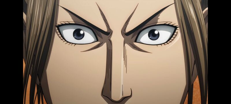 王者天下,动画,动漫,番剧,ACG