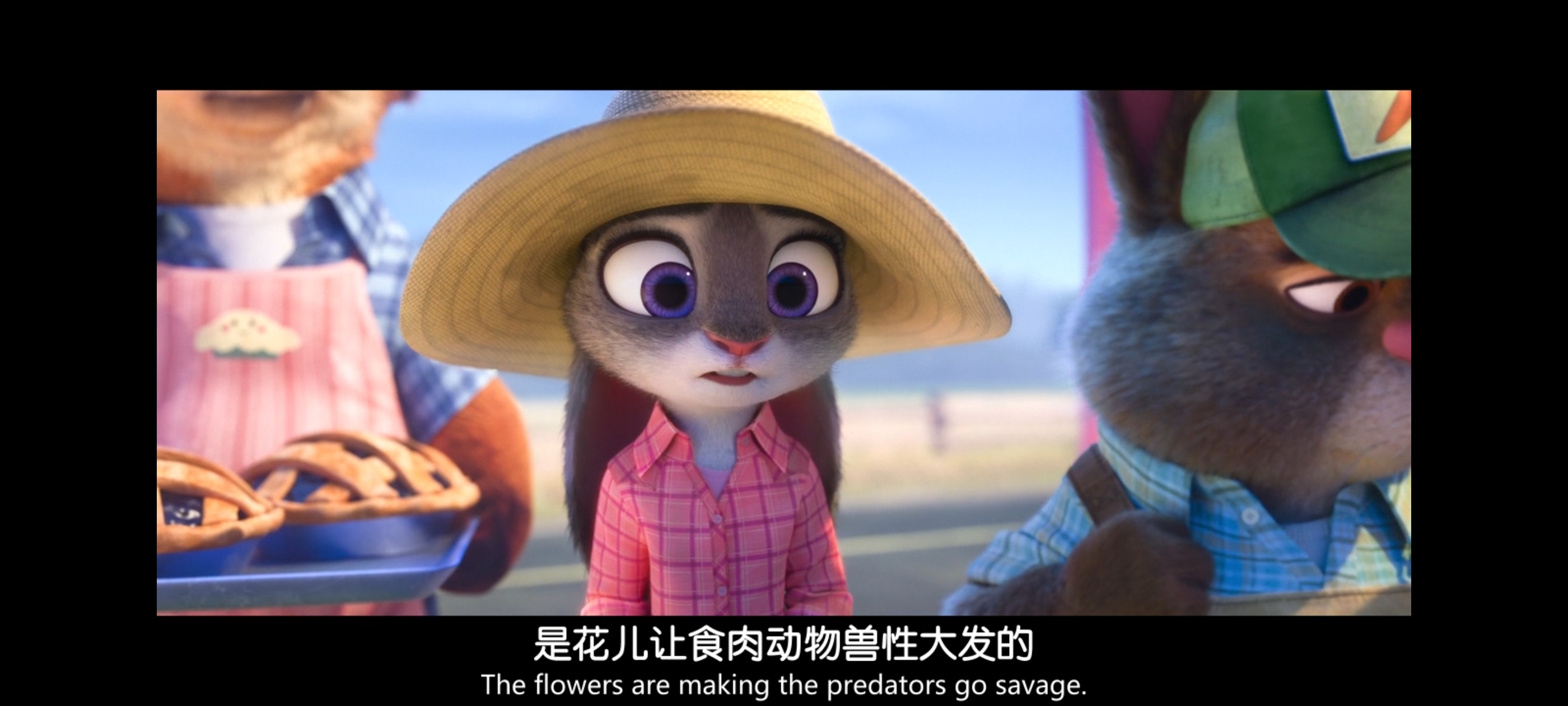 疯狂动物城,动画电影,动漫,动画,电影,二次元,ACG