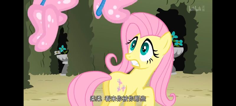 小马宝莉,小马宝莉友谊魔法,彩虹小马,我的小马驹,动画,动漫,番剧,ACG