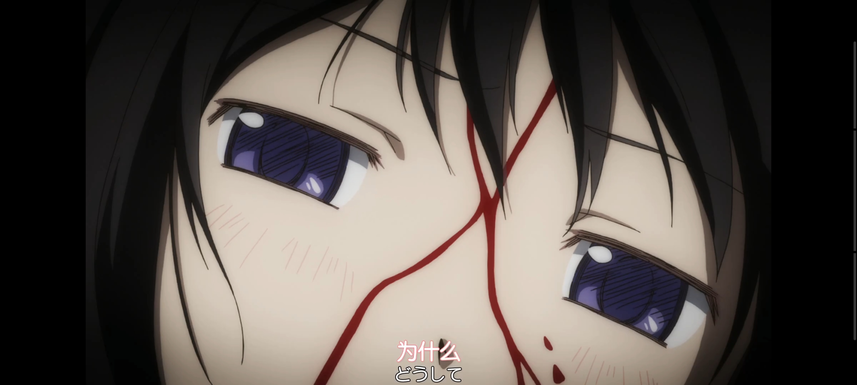 魔法少女小圆,魔法少女,动画,动漫,番剧,二次元,ACG