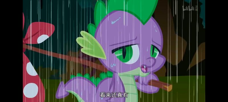 小马宝莉,彩虹小马,我的小马驹,动画,动漫,番剧,ACG,小马宝莉友谊魔法