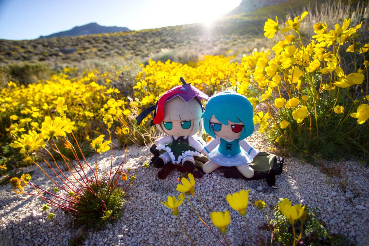 fumo,东方project,3月7号早苗日