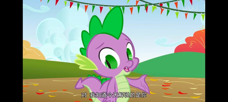 小马宝莉,小马宝莉友谊魔法,彩虹小马,我的小马驹,动画,动漫,番剧,ACG