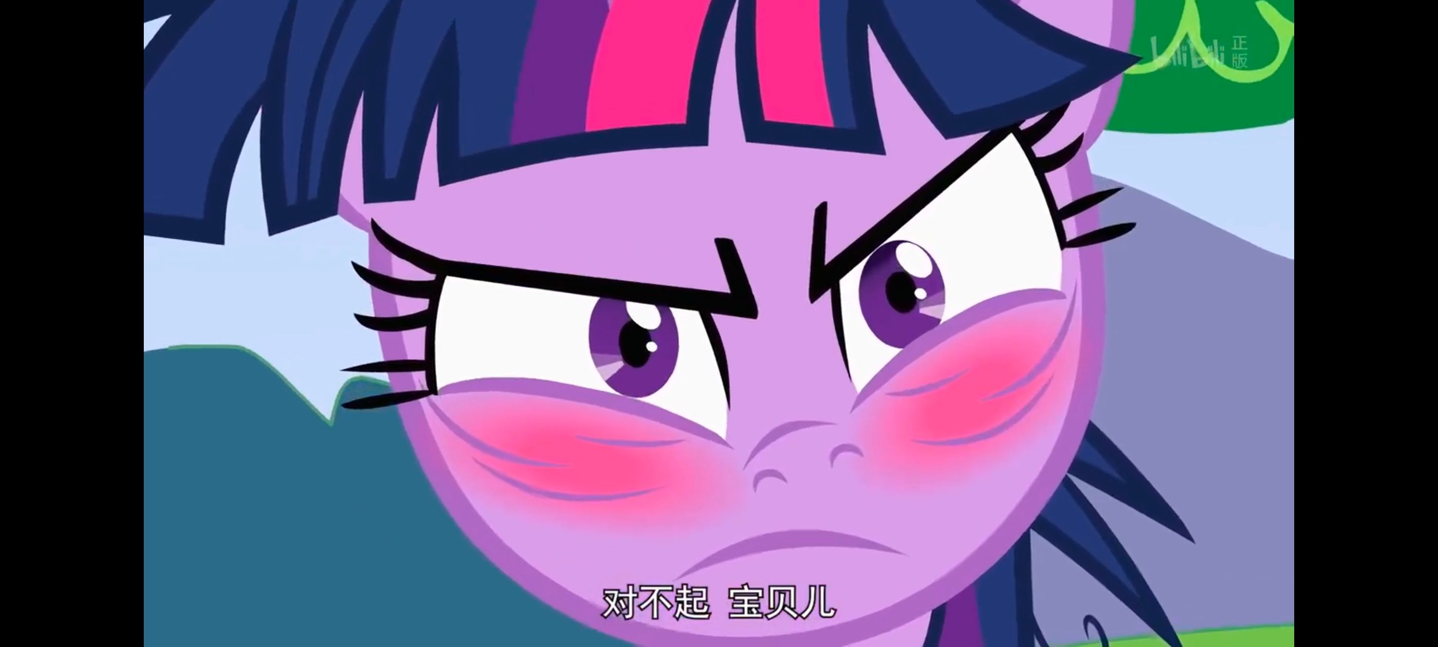 小马宝莉,小马宝莉友谊魔法,彩虹小马,我的小马驹,动画,动漫,番剧,ACG