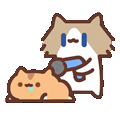 表情包,月薪喵,哈基米,猫meme,猫咪表情包,治愈表情包,温馨表情包