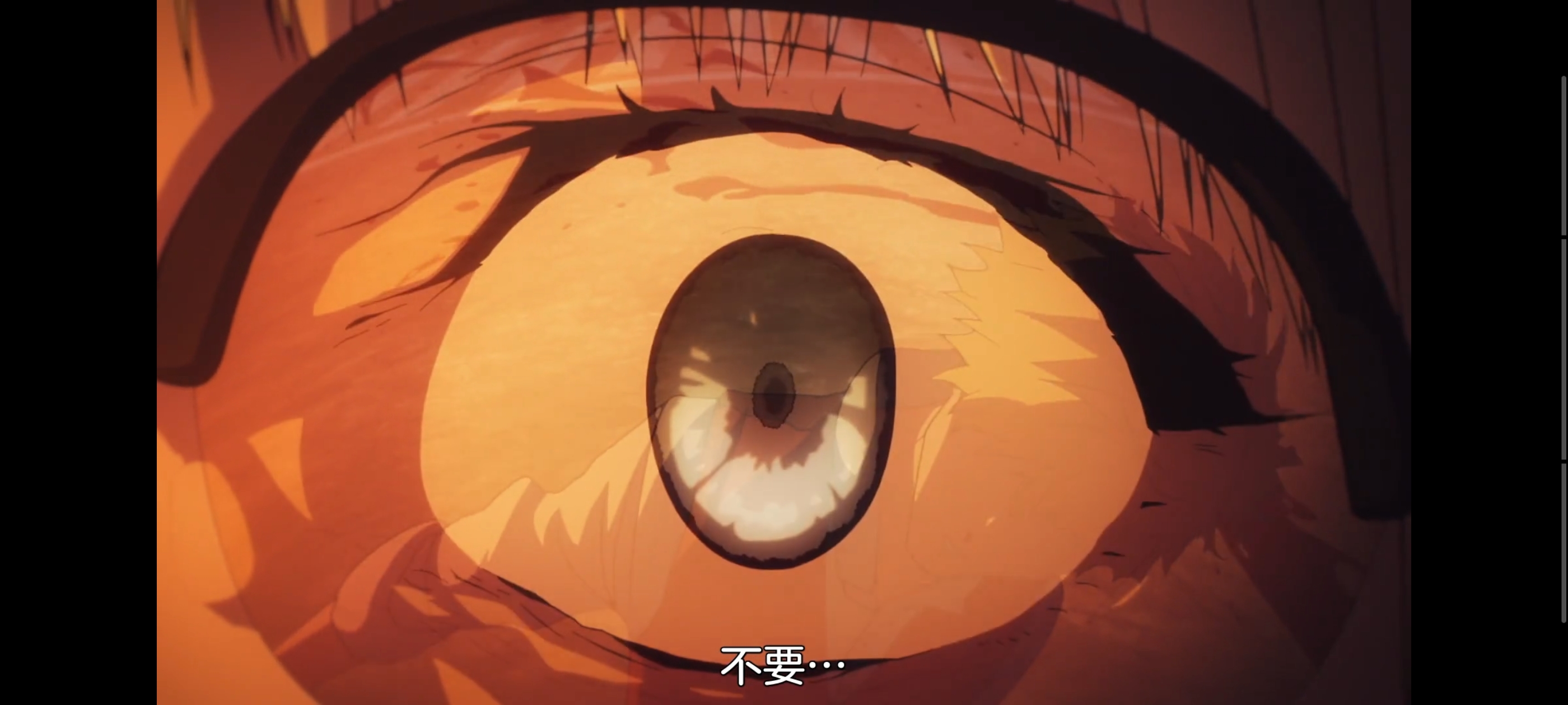 FATE,命运奇异赝品,FatestrangeFake,动画,动漫,番剧,二次元,ACG