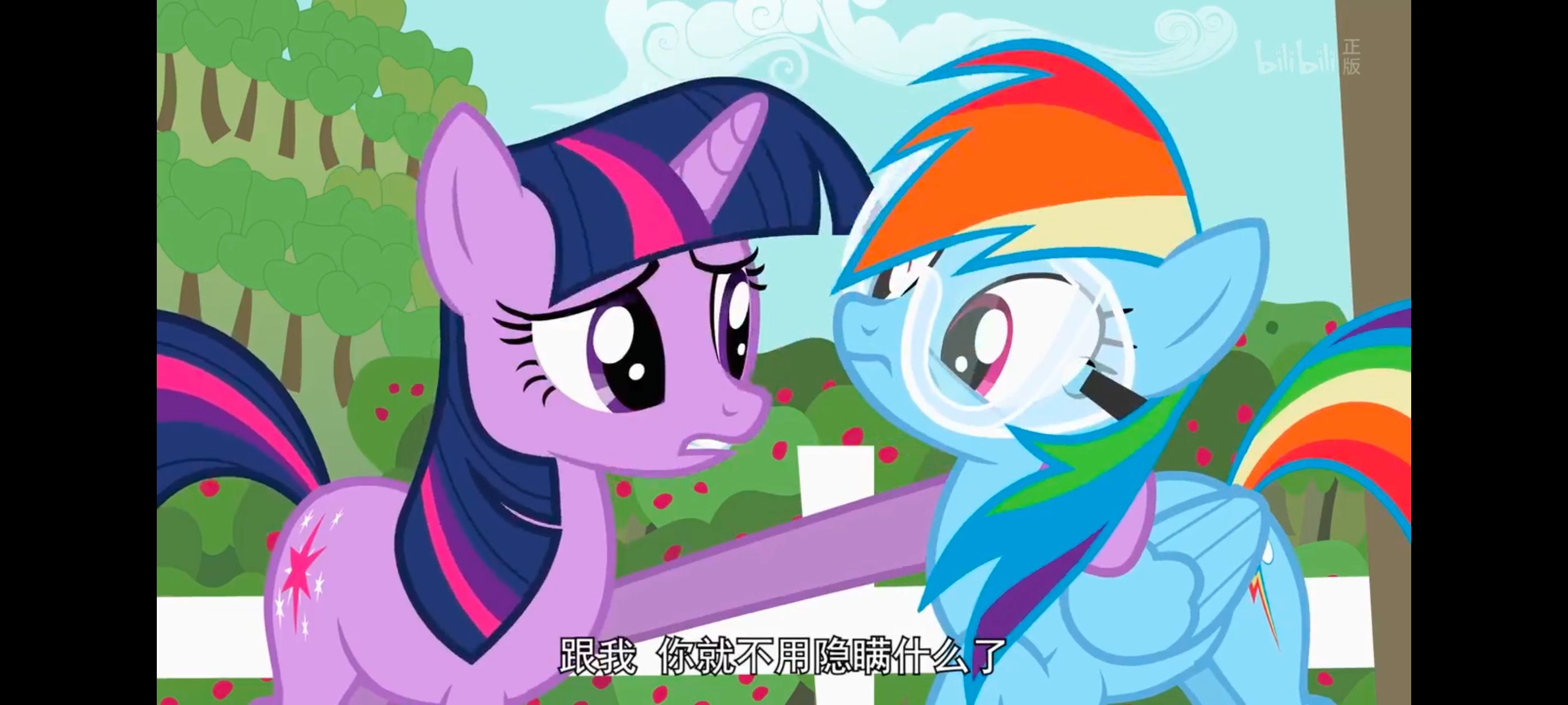 小马宝莉,小马宝莉友谊魔法,彩虹小马,我的小马驹,动画,动漫,番剧,ACG