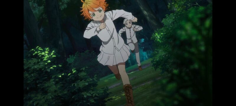 约定的梦幻岛,动画,动漫,番剧,ACG