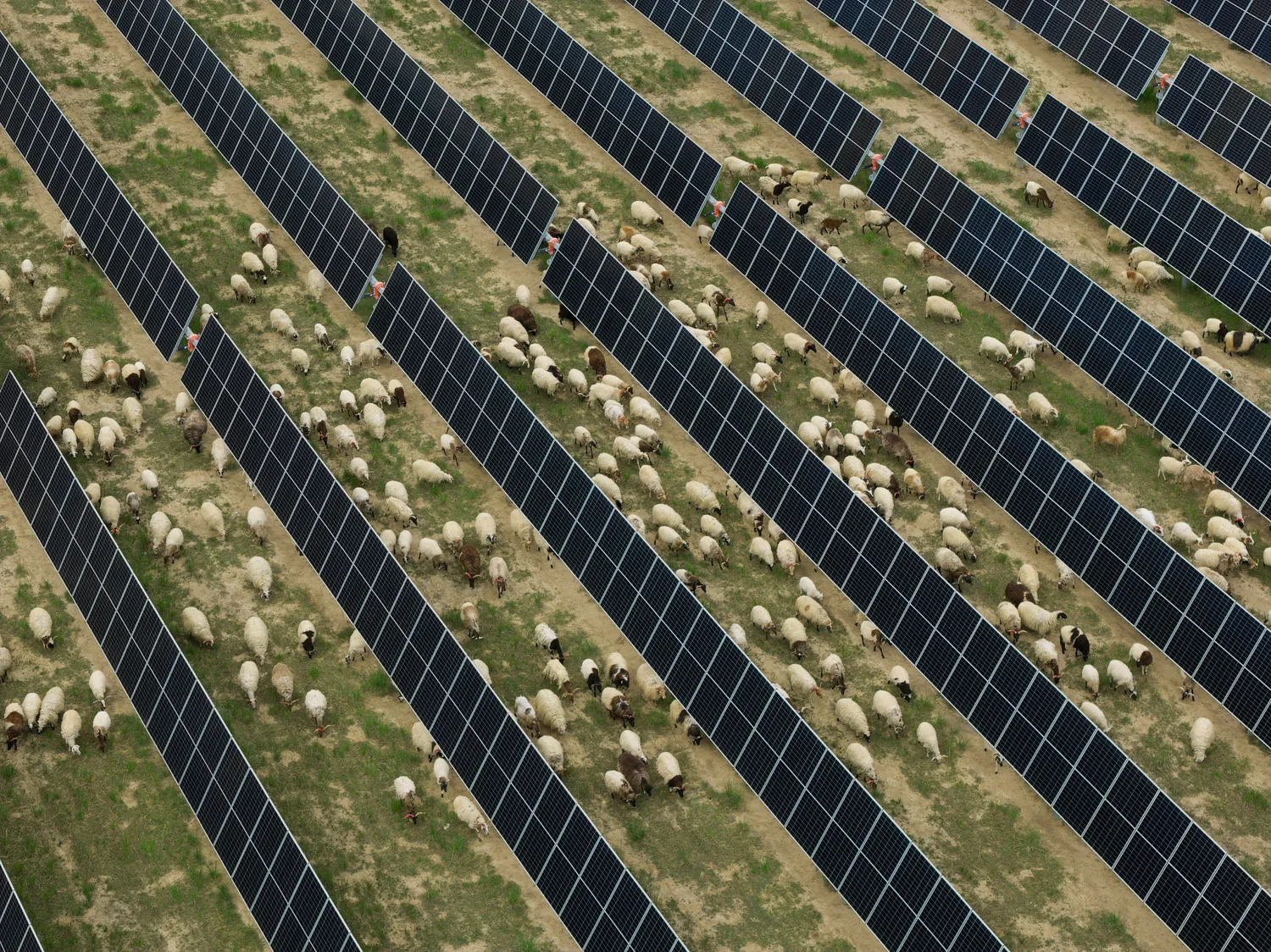 IT加油站,风力发电,太阳能,储卫民,摄影