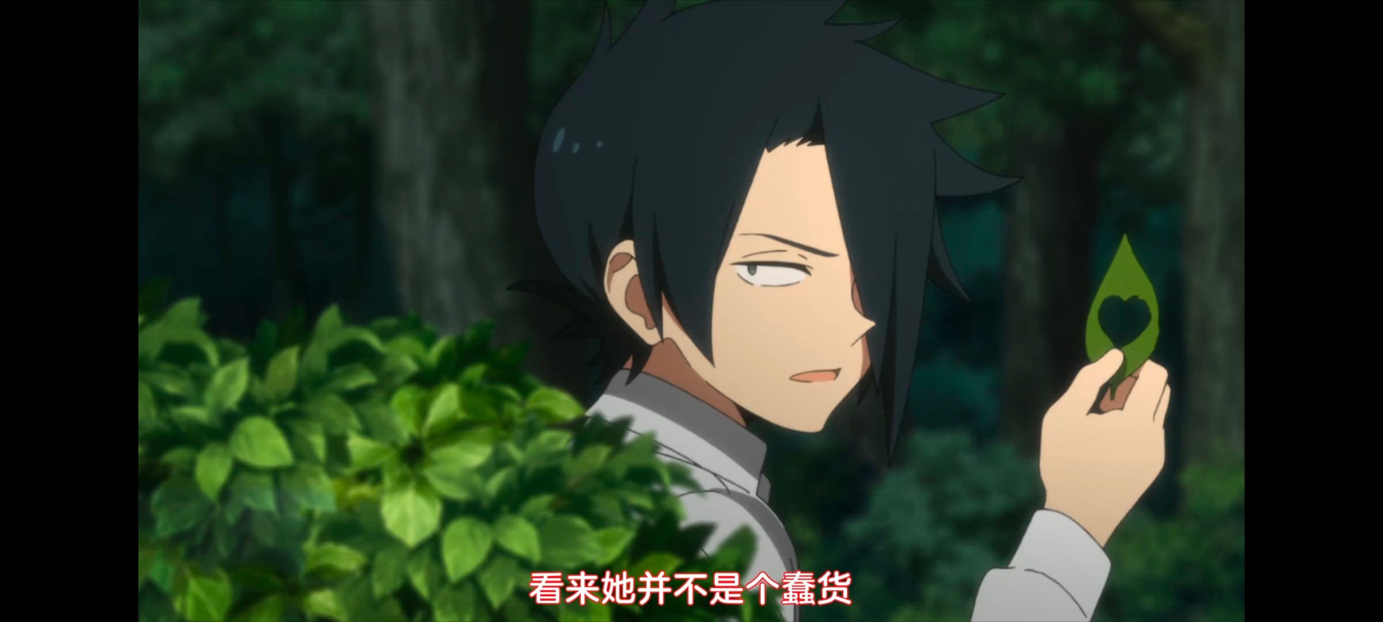 约定的梦幻岛,动画,动漫,番剧,ACG