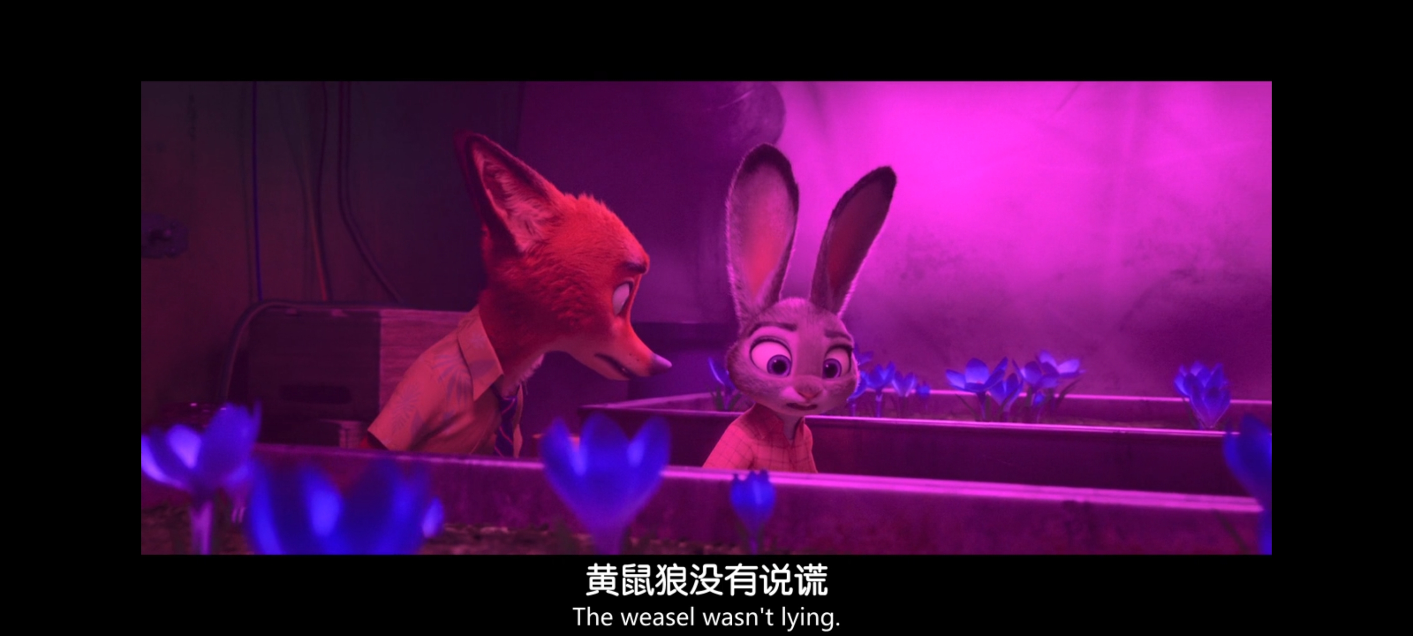 疯狂动物城,动画电影,动漫,动画,电影,二次元,ACG