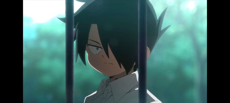 约定的梦幻岛,动画,动漫,番剧,ACG