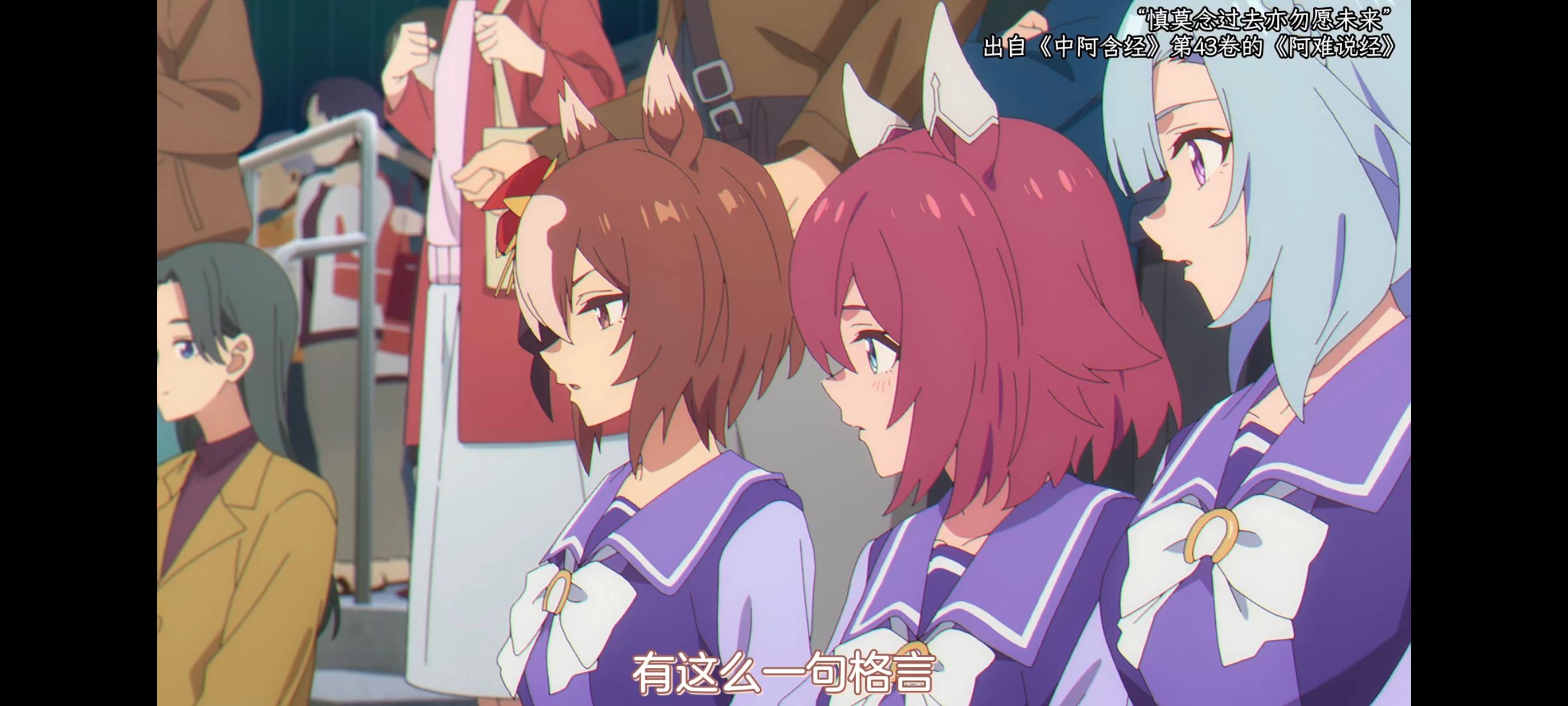 赛马娘,赛马娘PrettyDreby,赛马娘芦毛灰姑娘,芦毛灰姑娘,动画,动漫,番剧,ACG