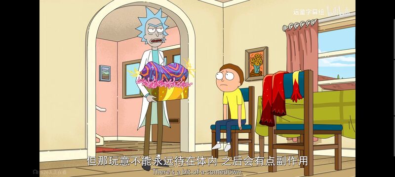 瑞克和莫蒂,瑞克与莫蒂,美漫,动画,动漫,番剧,ACG