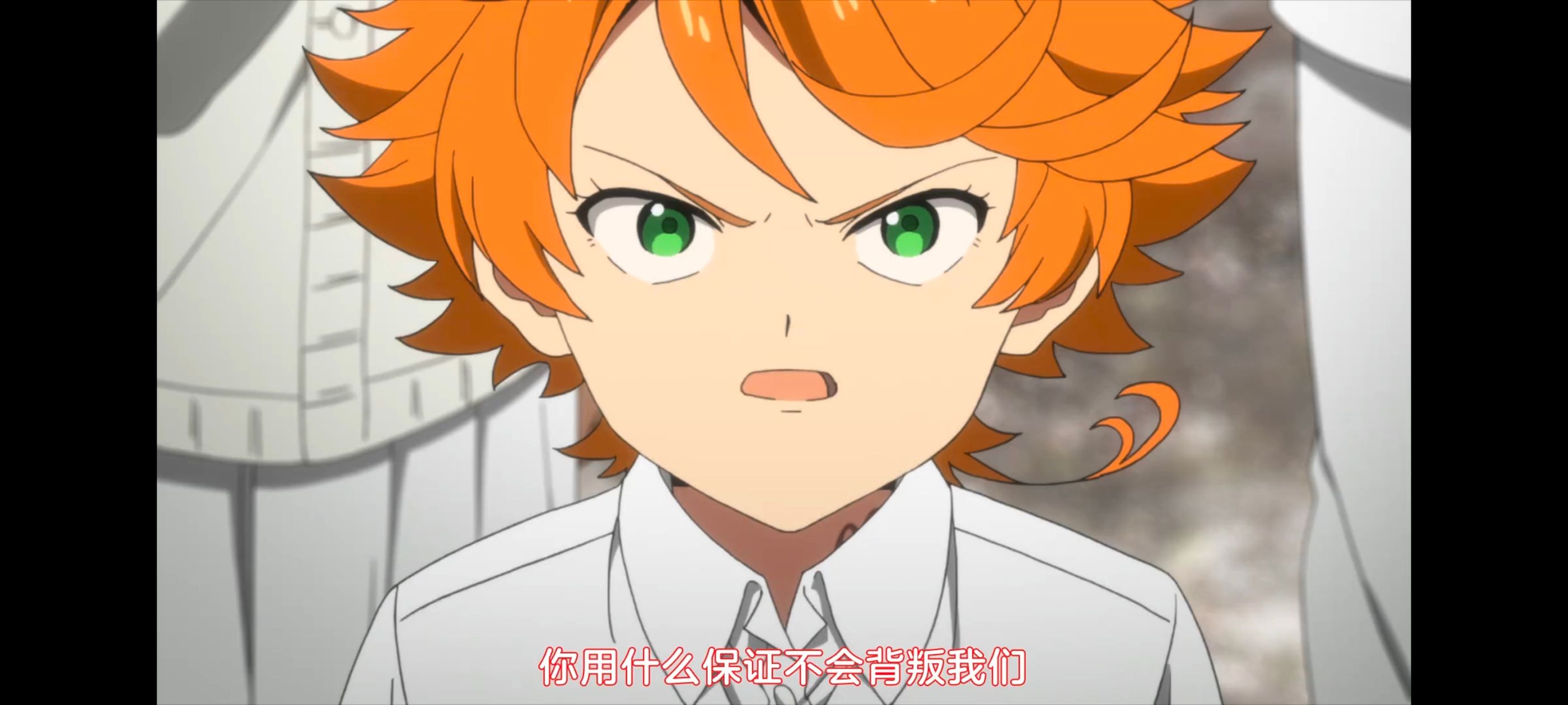 约定的梦幻岛,动画,动漫,番剧,二次元,ACG