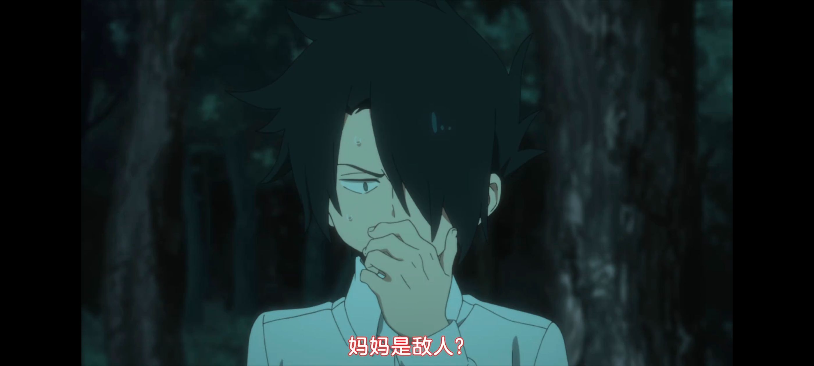 约定的梦幻岛,动画,动漫,番剧,ACG