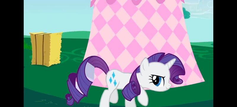 小马宝莉,小马宝莉友谊魔法,彩虹小马,我的小马驹,动画,动漫,番剧,ACG