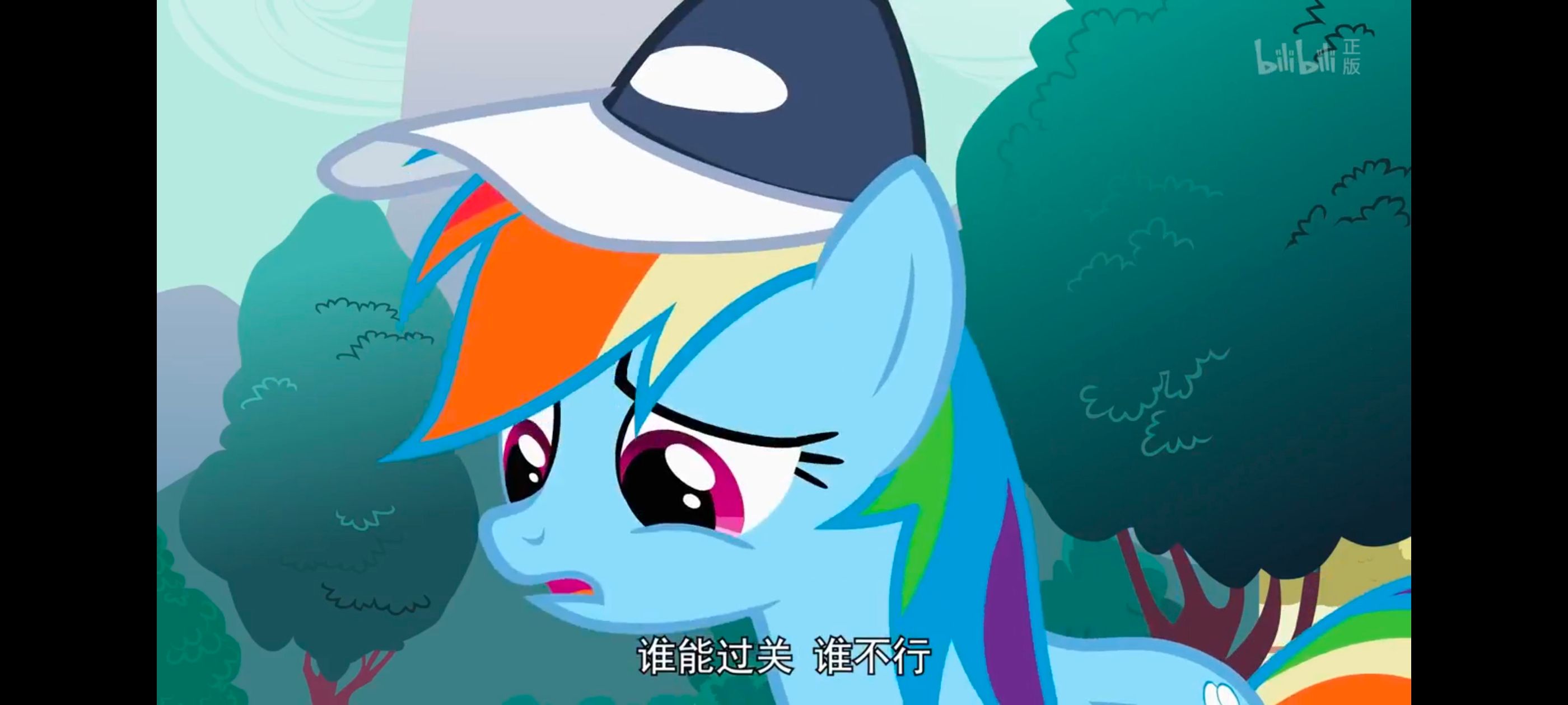 小马宝莉,彩虹小马,我的小马驹,动画,动漫,番剧,二次元,ACG