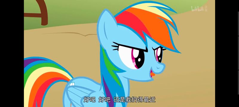 小马宝莉,小马宝莉友谊魔法,彩虹小马,我的小马驹,动画,动漫,番剧,ACG