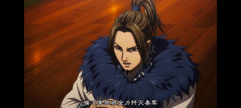 王者天下,动画,动漫,番剧,ACG