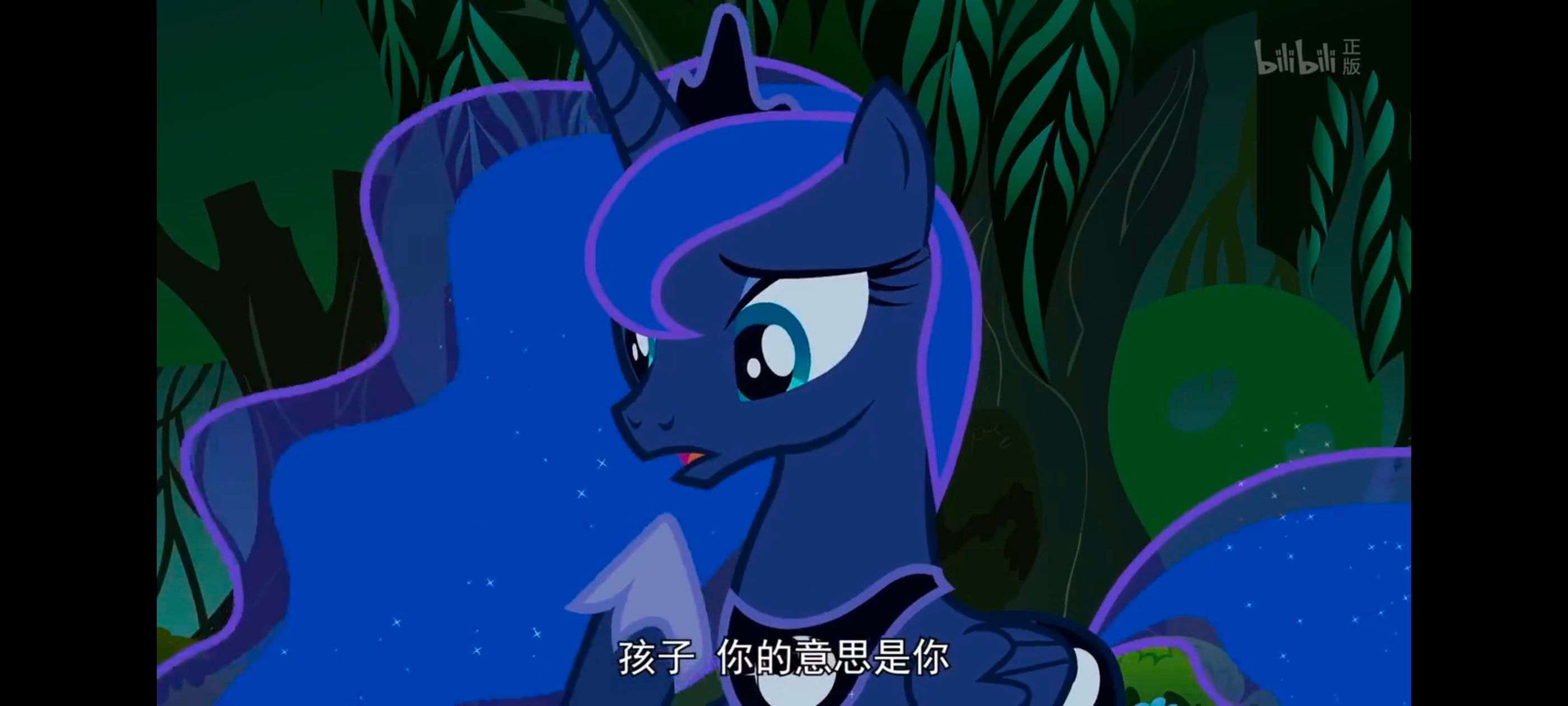 小马宝莉,小马宝莉友谊魔法,彩虹小马,我的小马驹,动漫,动画,番剧,ACG