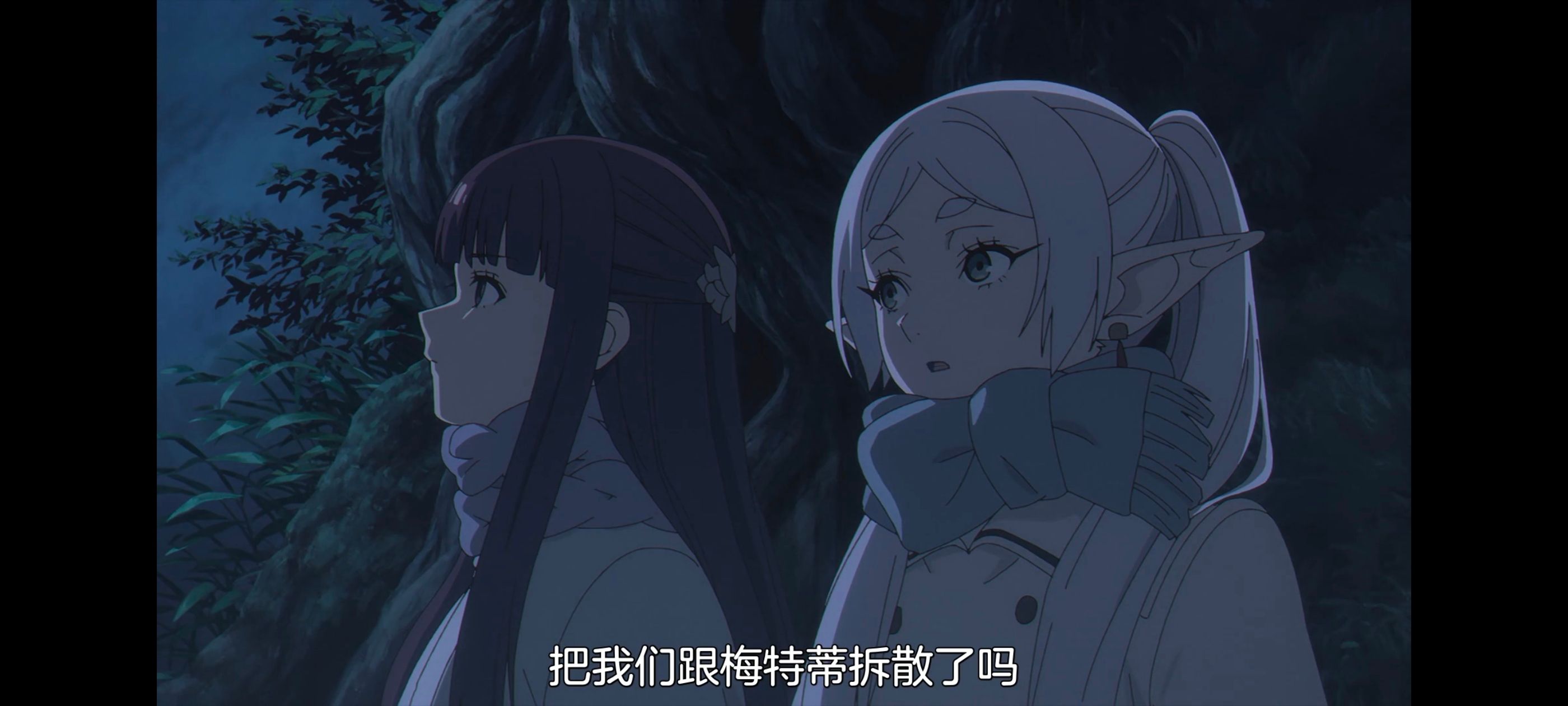 葬送的芙莉莲,动画,动漫,番剧,二次元,ACG