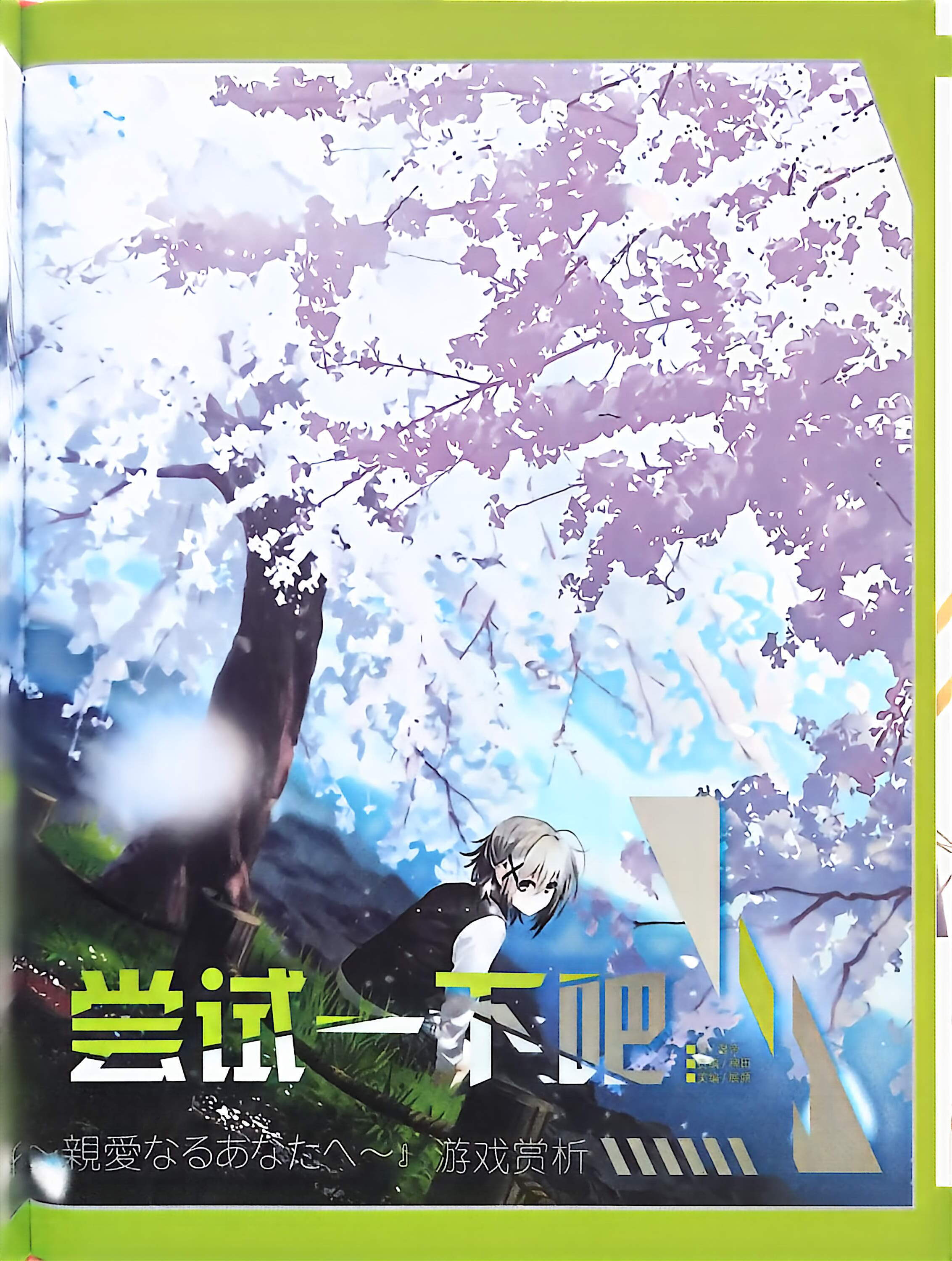 二次元狂热,GALgame,恋爱游戏