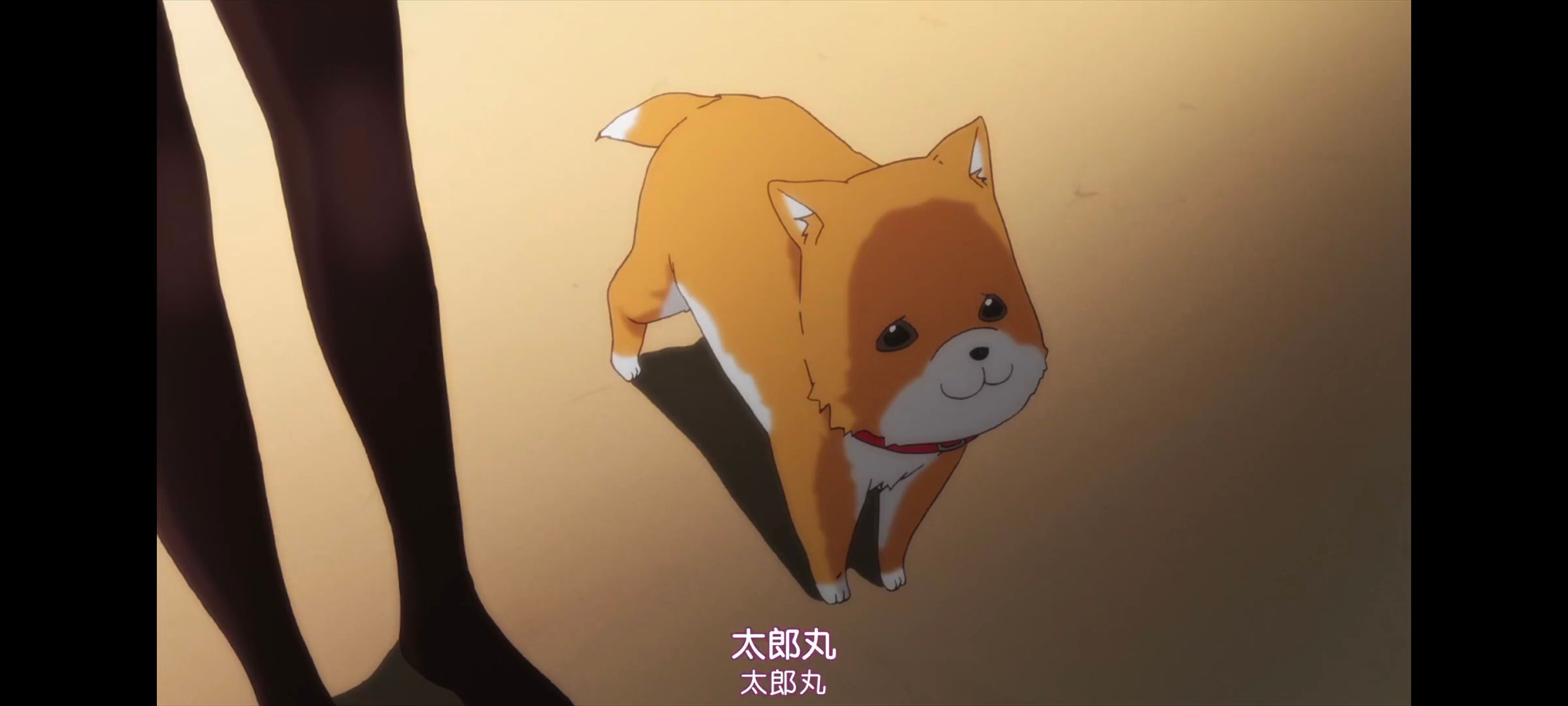 /static/10452479a7e9435bf5410b939e8976b7b16bf414de95a9ed438975021f2851b4.jpg