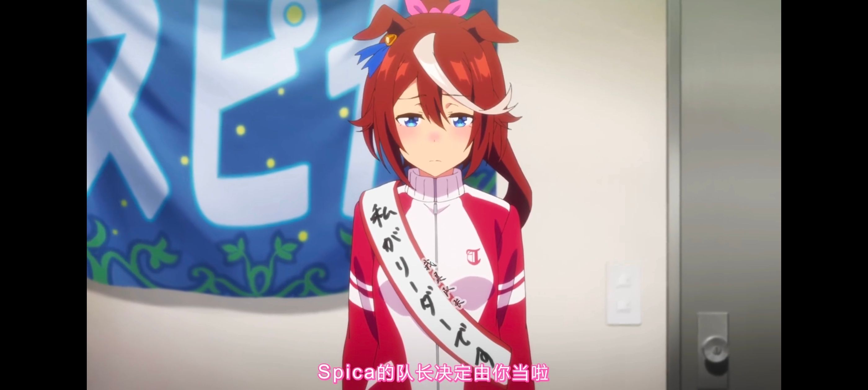 赛马娘,赛马娘PrettyDreby,动画,动漫,番剧,ACG