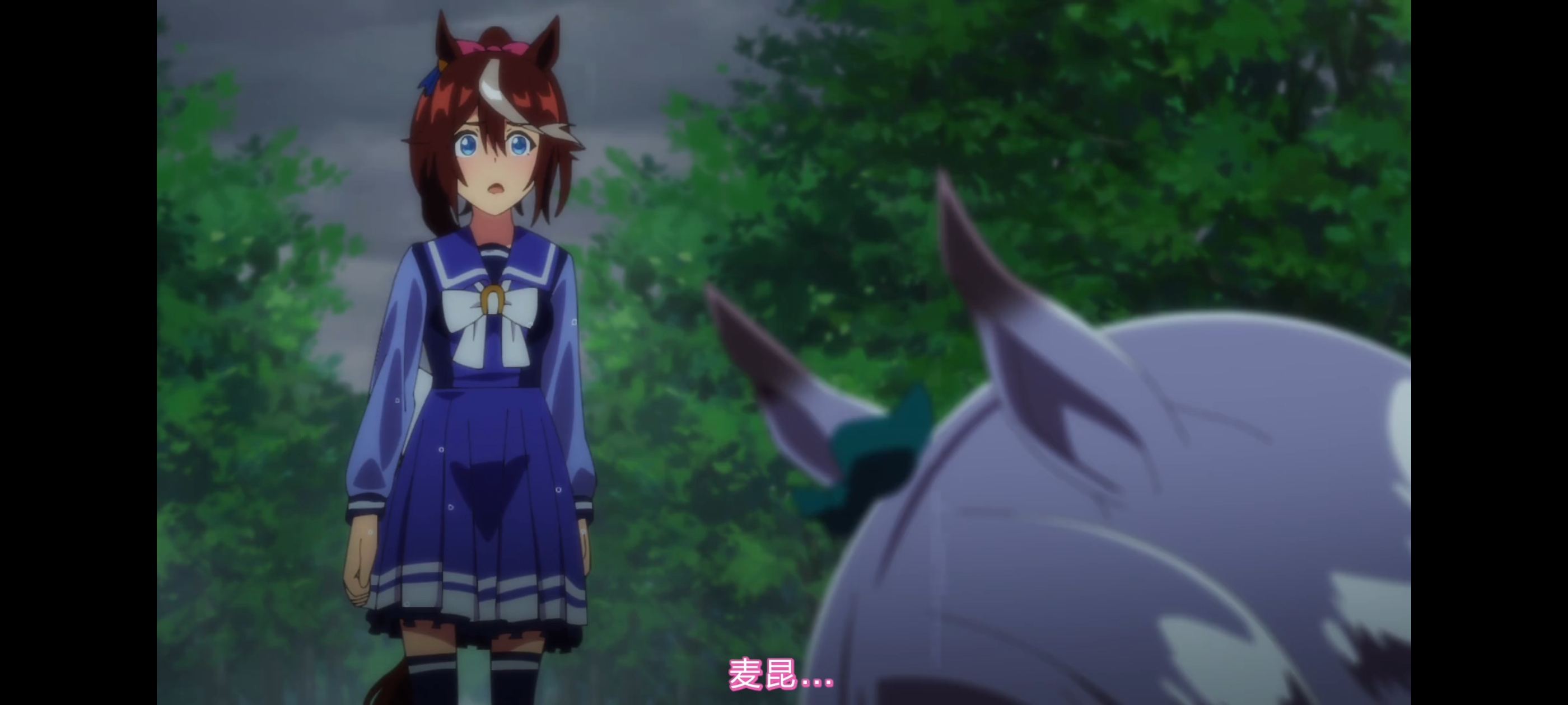 赛马娘,赛马娘第二季,赛马娘PrettyDerby,动画,动漫,番剧,二次元,ACG