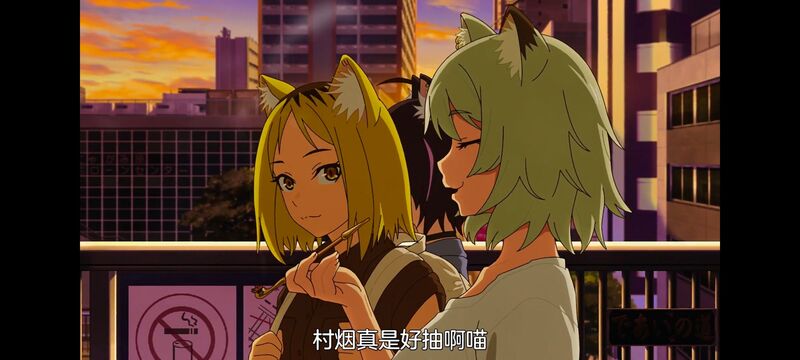 尼古喵喵,雅尼猫,动画,动漫,番剧,日漫,二次元,ACG