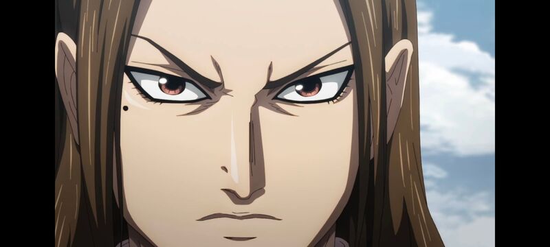 王者天下,动画,动漫,番剧,ACG