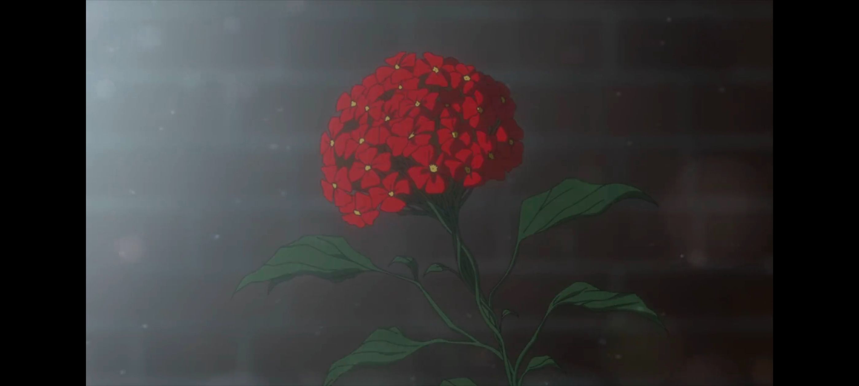 约定的梦幻岛,动画,动漫,番剧,二次元,ACG