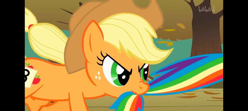 小马宝莉,小马宝莉友谊魔法,彩虹小马,我的小马驹,动画,动漫,番剧,ACG