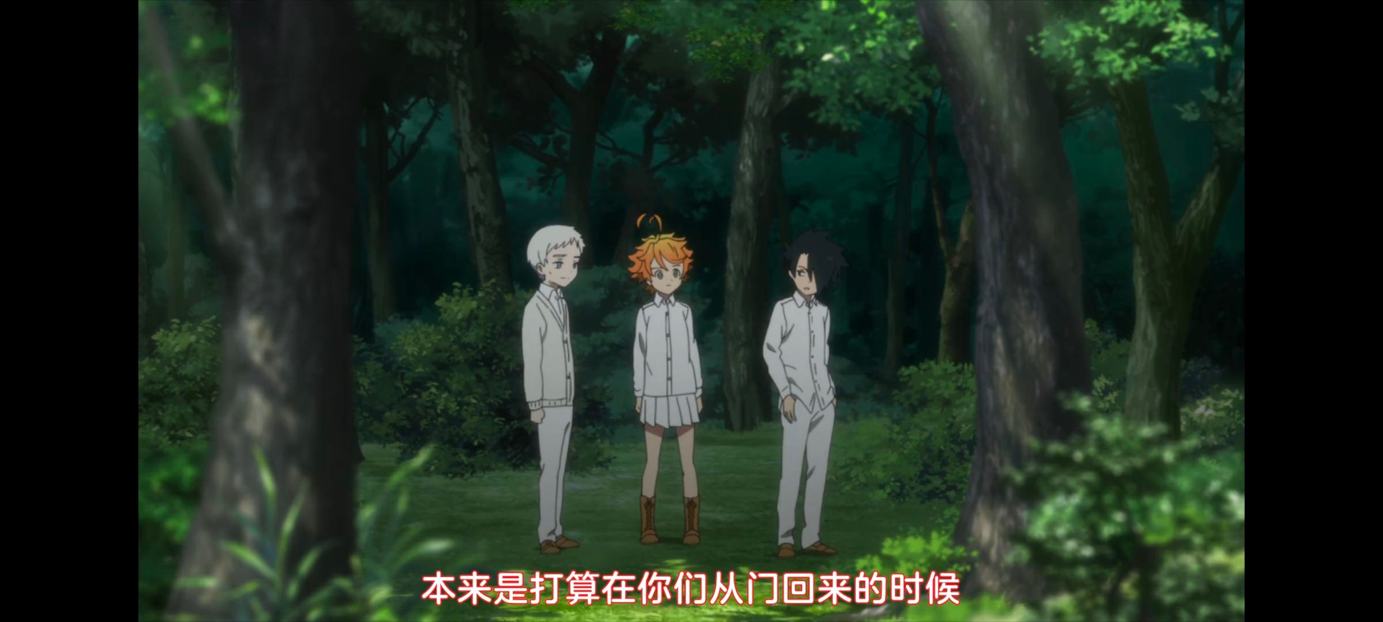 约定的梦幻岛,动画,动漫,番剧,ACG