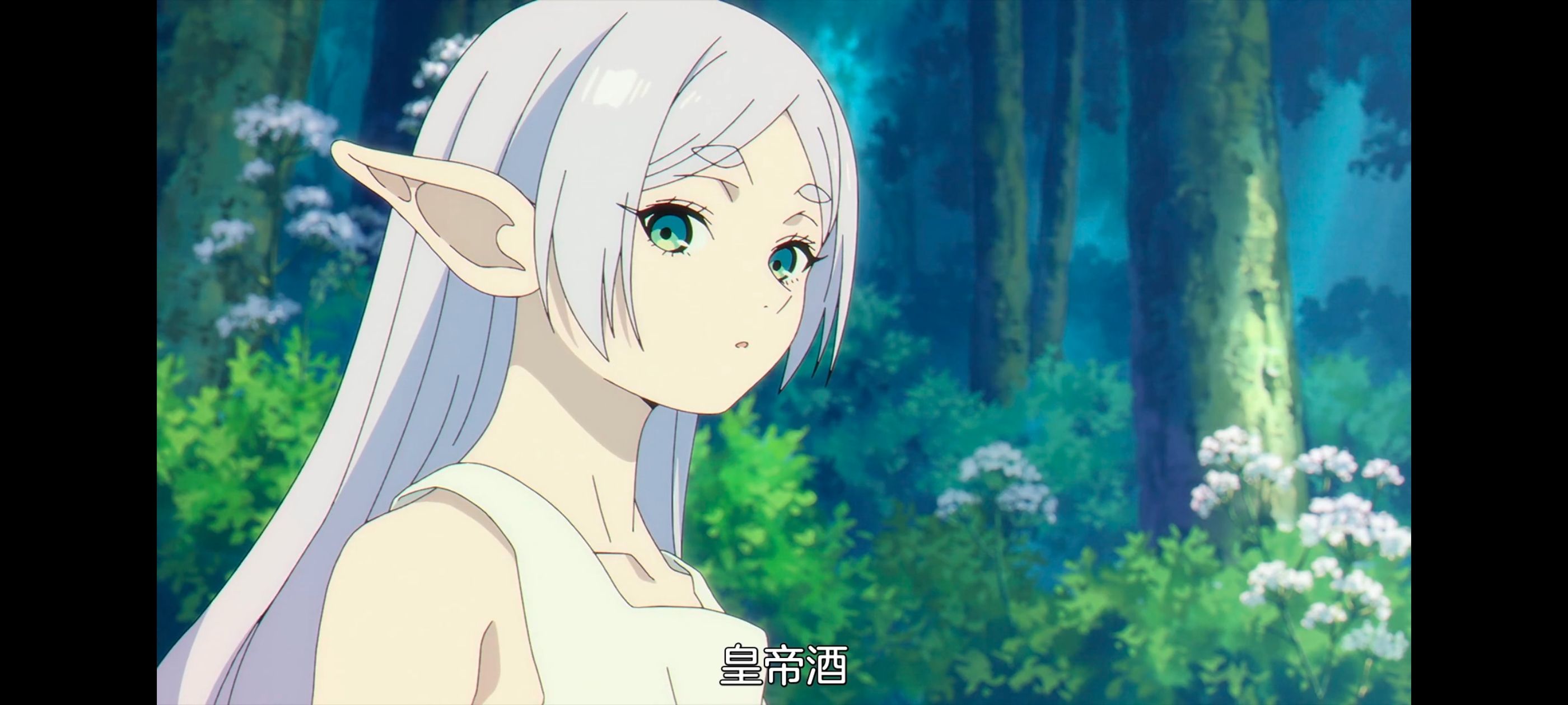 葬送的芙莉莲,动画,动漫,番剧,ACG