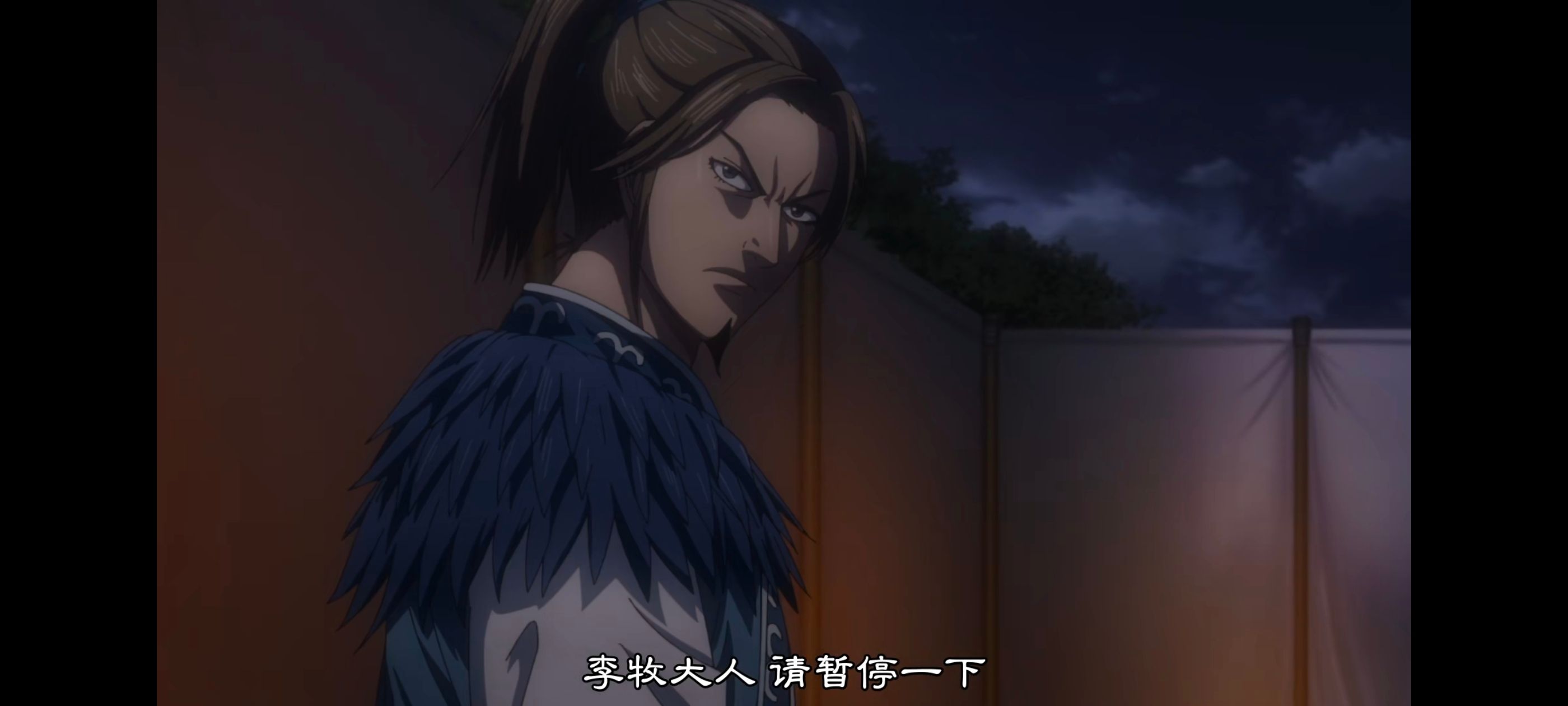 王者天下,动画,动漫,番剧,ACG