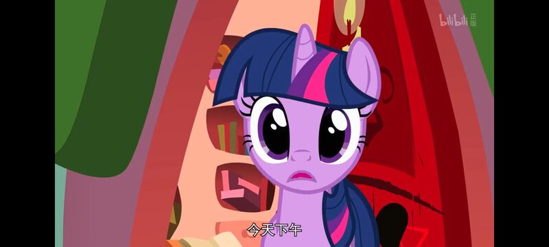 小马宝莉,小马宝莉友谊魔法,彩虹小马,我的小马驹,动画,动漫,番剧,ACG