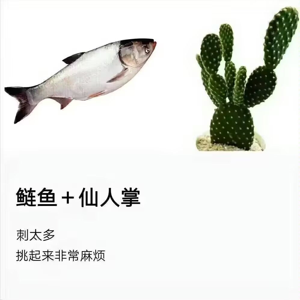 /static/118489b70a59f9fcb87d551554c1abd1a9d4f21f5bd5b1b89607560215078044.jpg