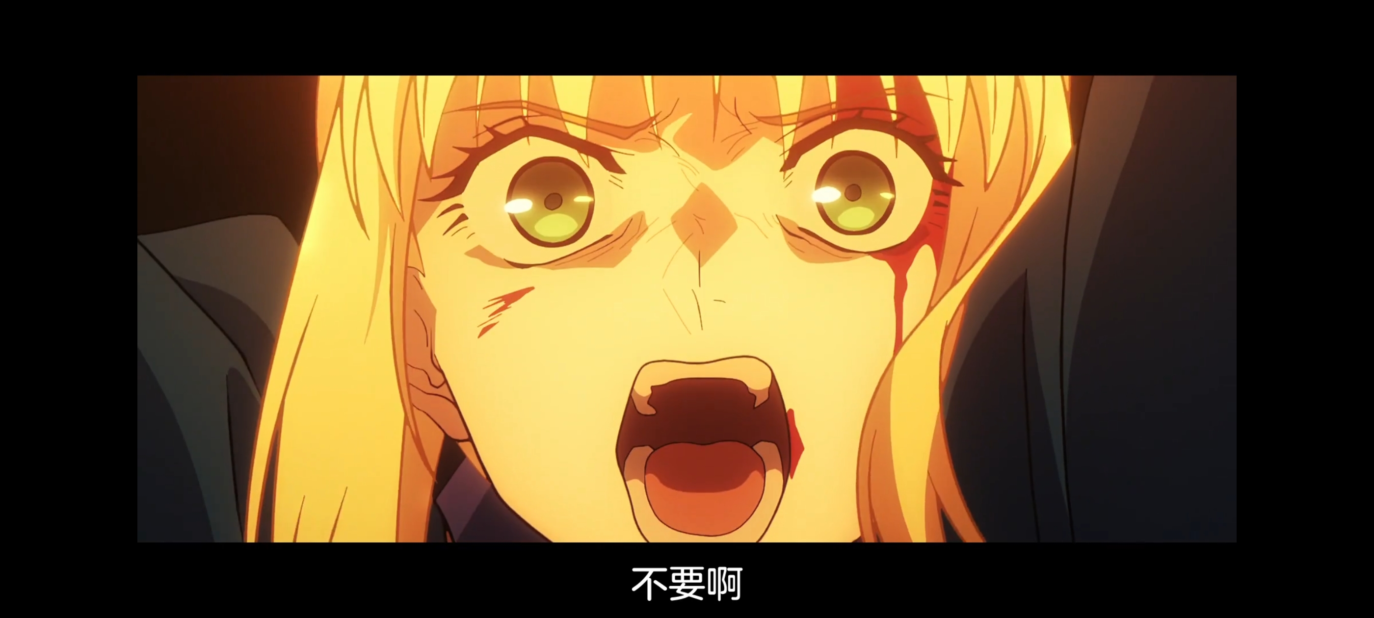 FATE,命运奇异赝品,FatestrangeFake,动画,动漫,番剧,二次元,ACG