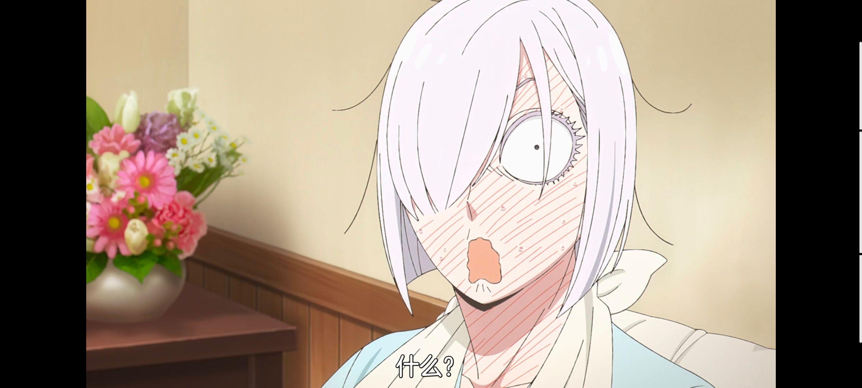 间谍过家家,SPYFAMILY,动画,动漫,番剧,ACG