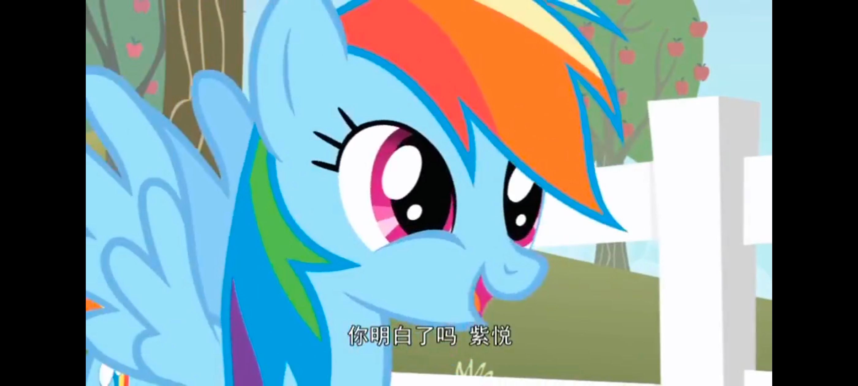 /static/11a4d52de28712c5ed6e571524cc0ad799bb643dcf5ecf5a6c43d152ad949e20.jpg