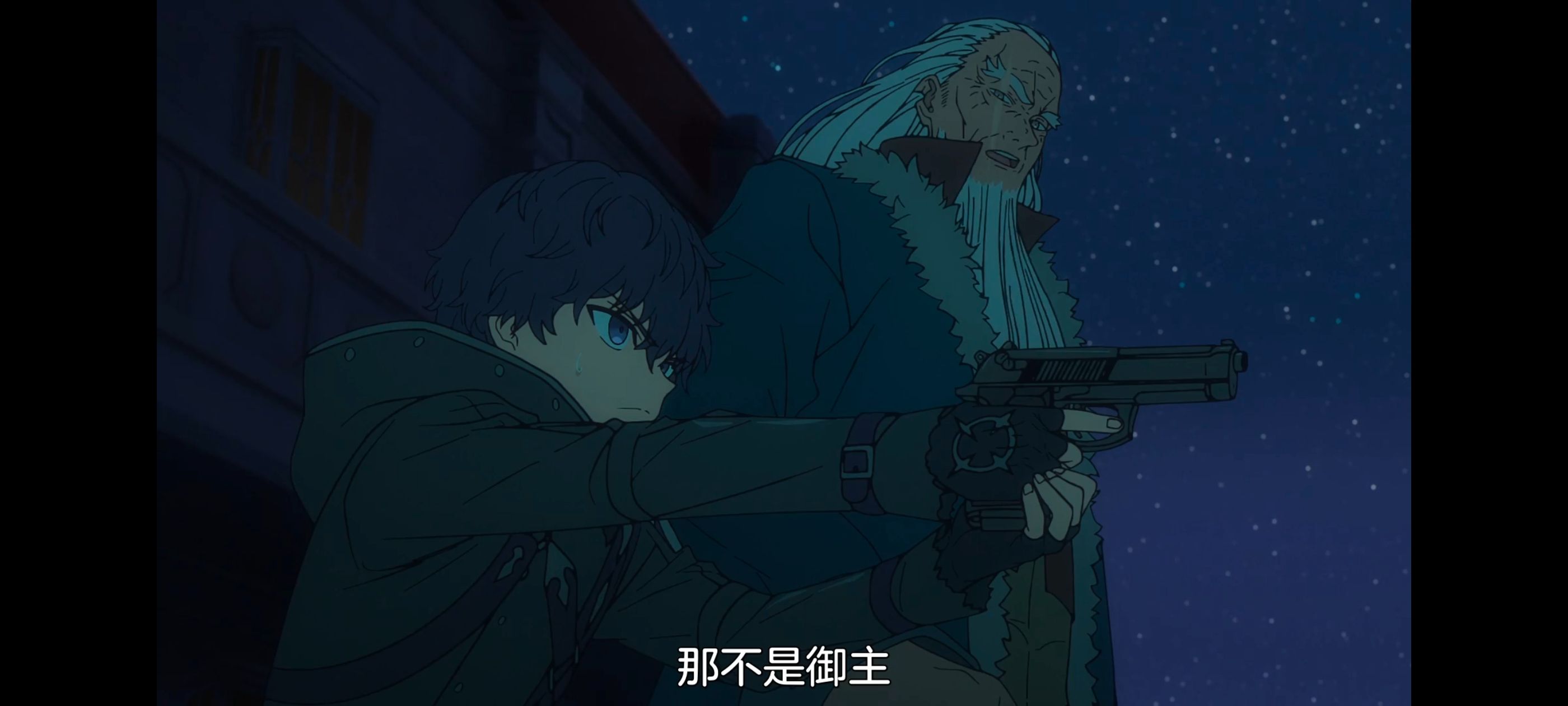 命运奇异赝品,FatestrangeFake,动画,动漫,番剧,ACG